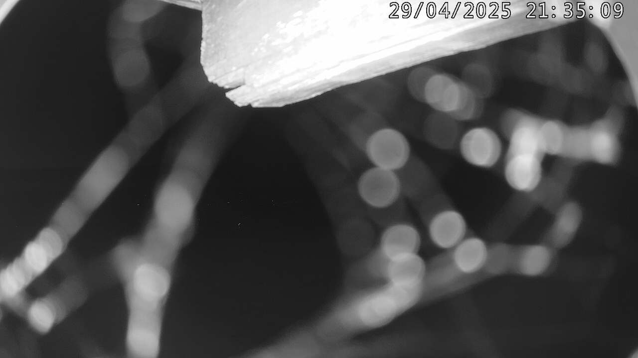 32h ago - 21:35