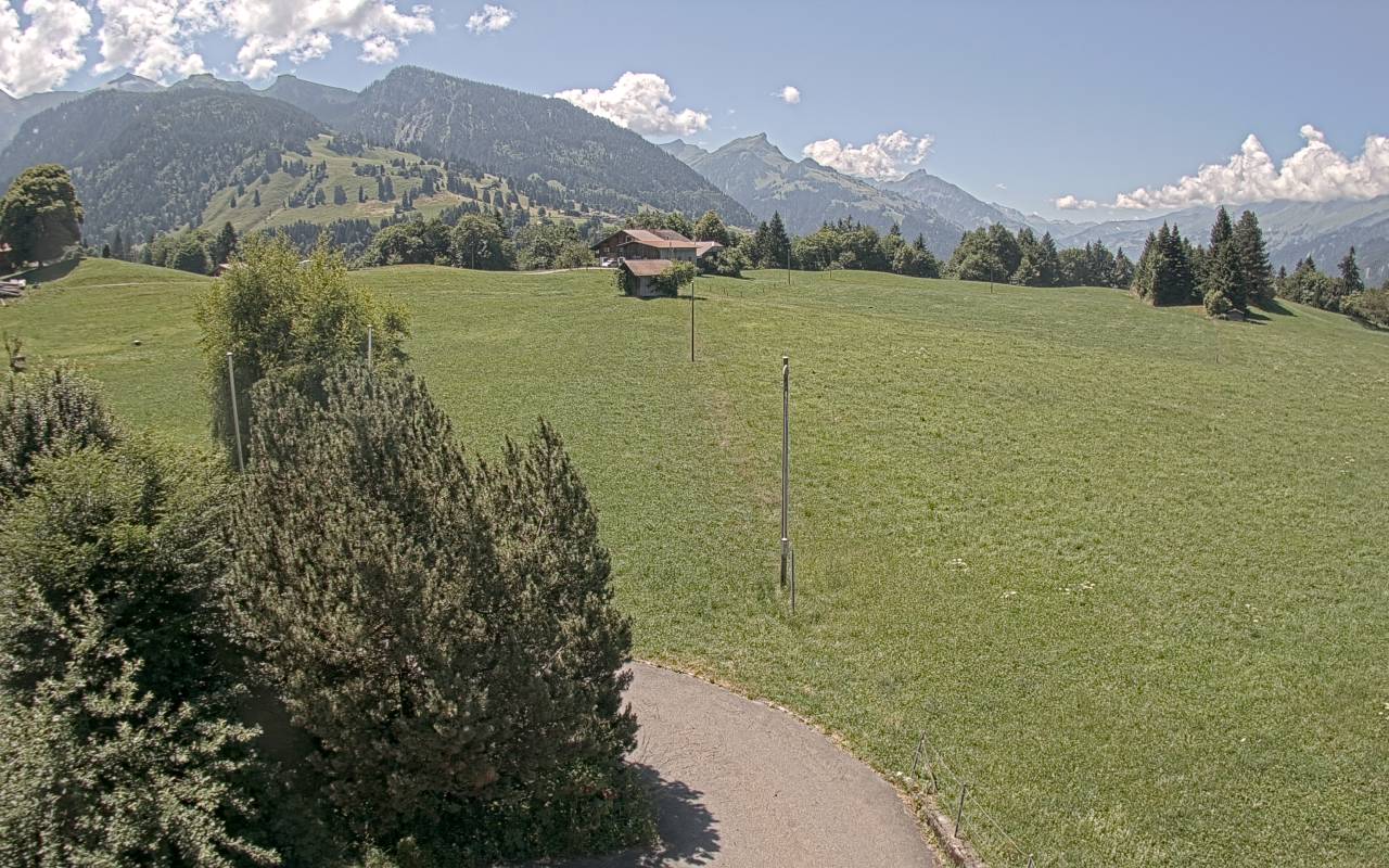 28.06.2025 12:25