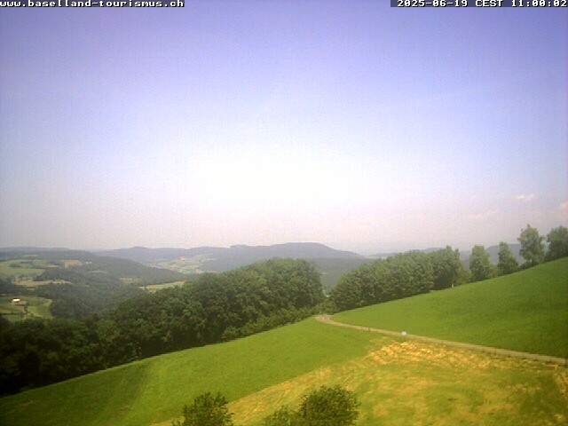19.06.2025 12:28