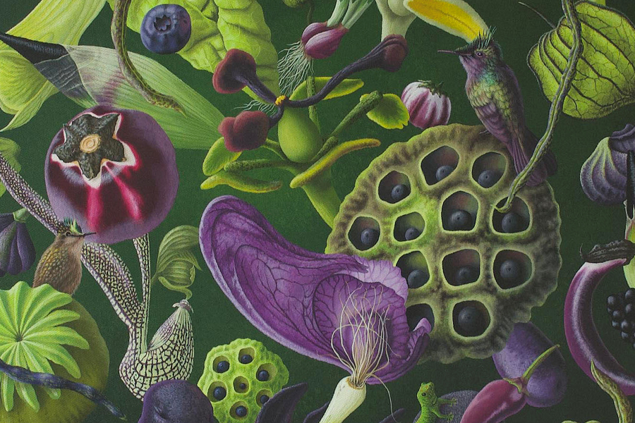 Karin Birkenmeier: Fantastische Bilder