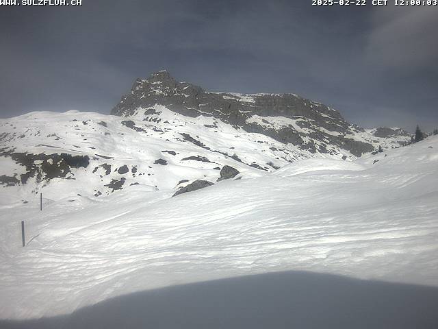 22.02.2025 12:00
