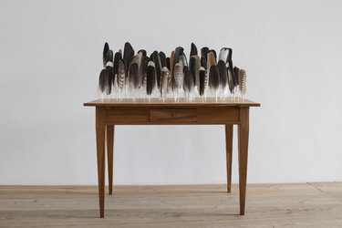 Bethan Huws: «Table of Feathers», 2009 / © Courtesy Galerie Tschudi, Zuoz & The Artist