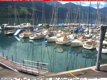 29.08.2025 12:24