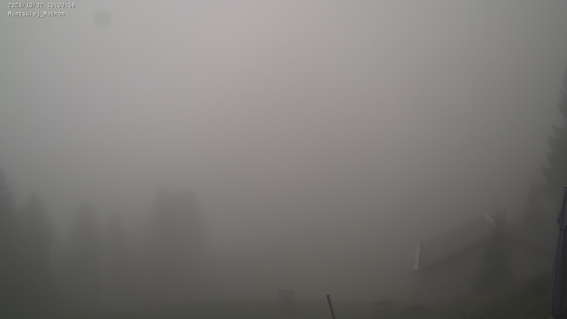 02.10.2024 12:01