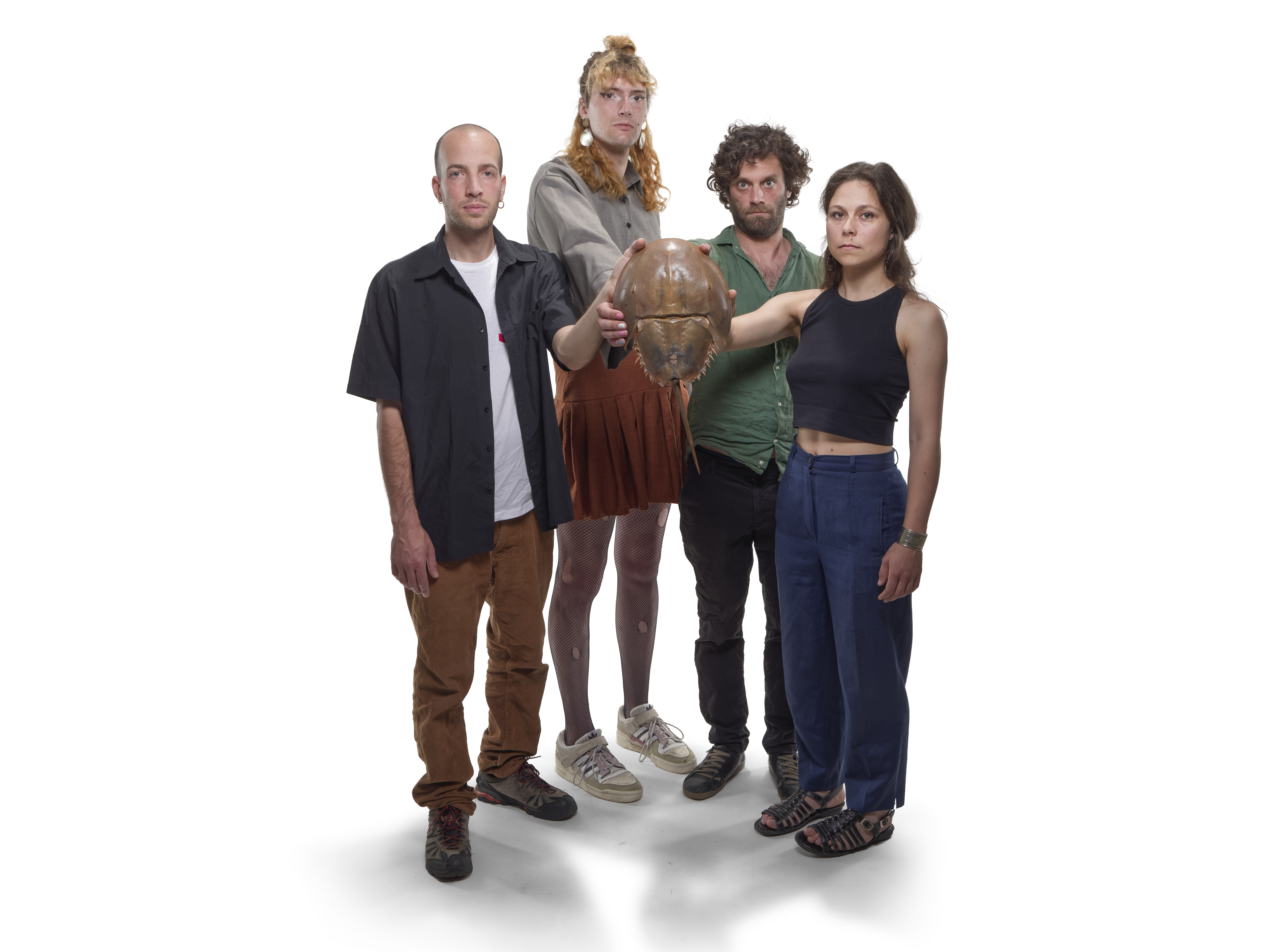 Killer Whales Music Theory