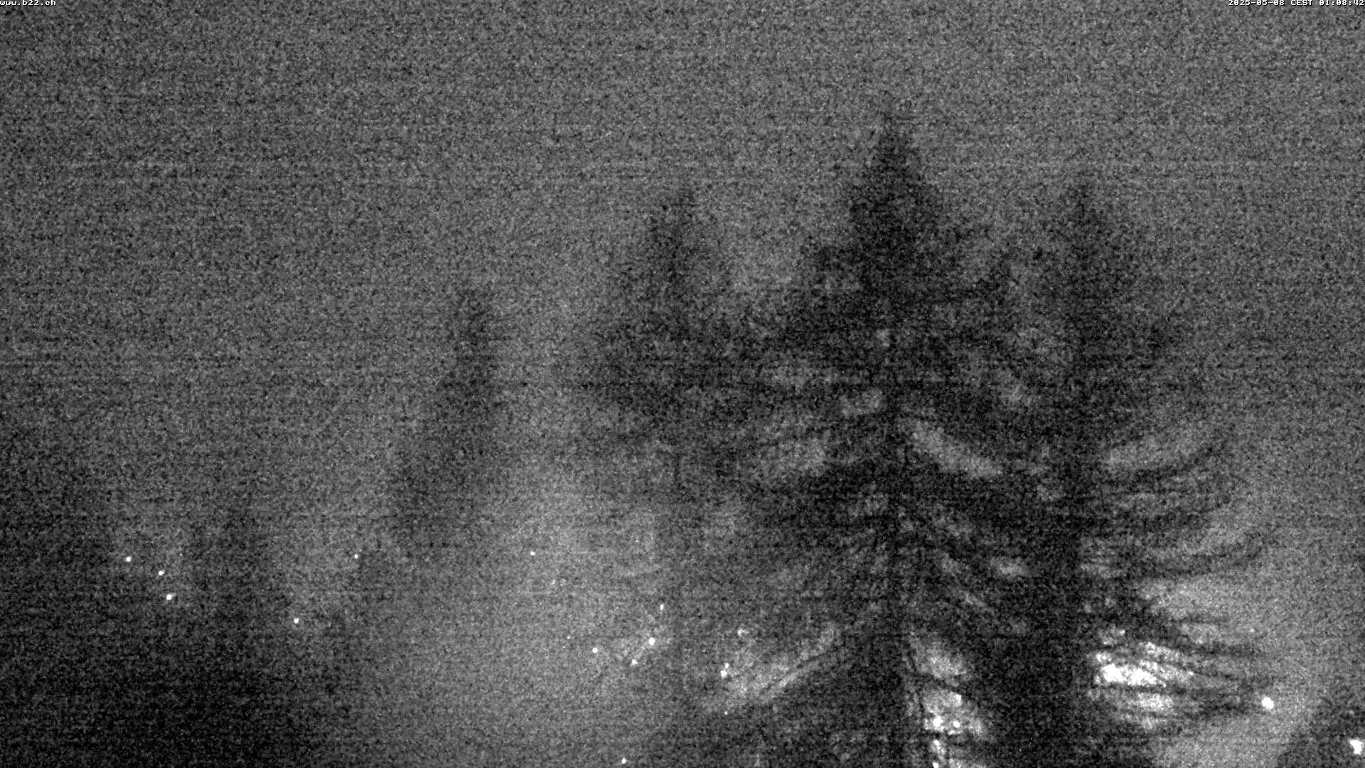 30h ago - 01:07