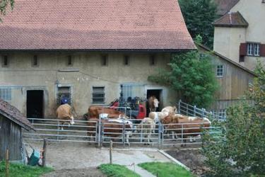 Hofladen Klosterhof Passwang - 1
