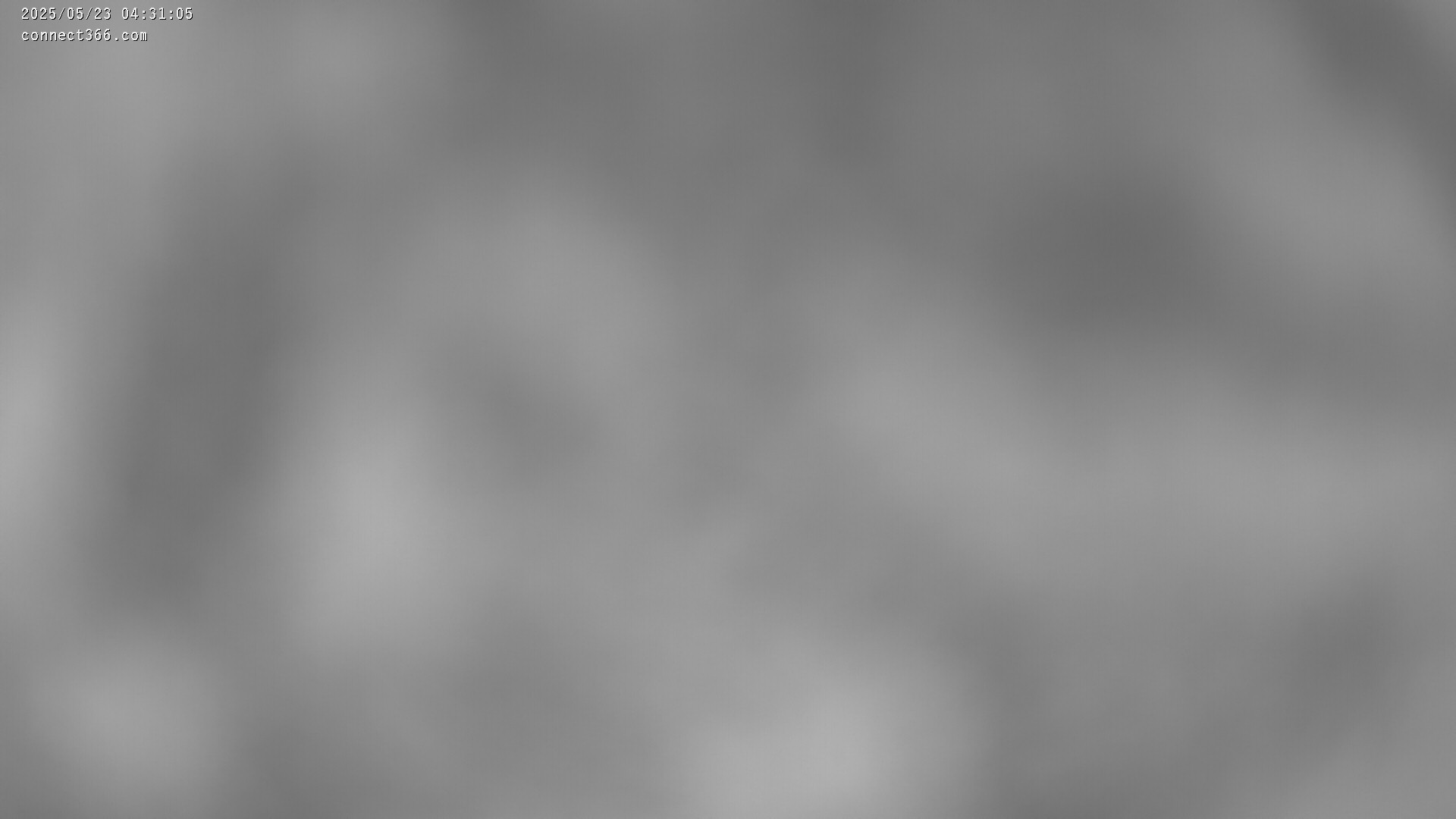 1h ago - 04:31