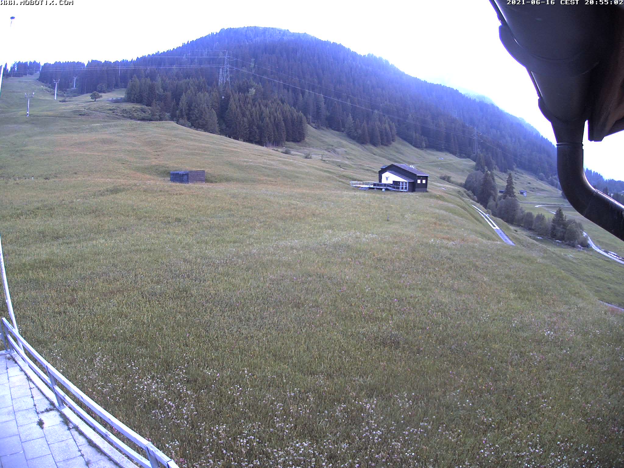 10h ago - 20:55