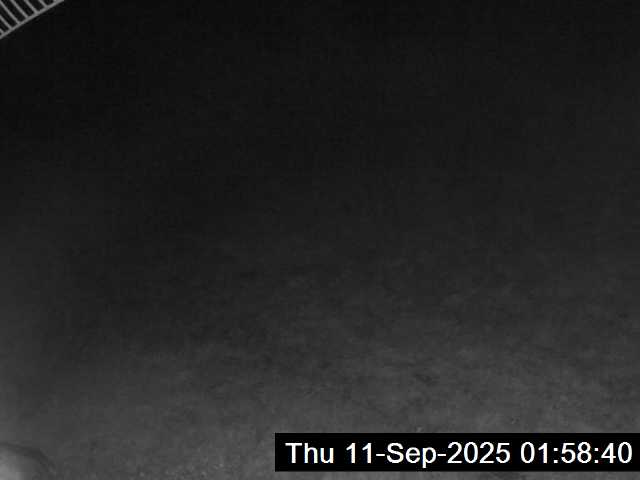 24h ago - 01:58