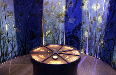 Expo, Nuit blanche chez les insectes (Pro Natura, Centre de Champ-Pittet)
