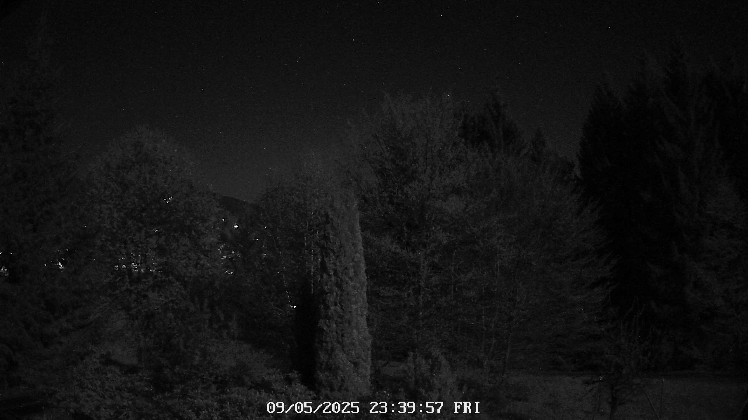 9h ago - 23:39