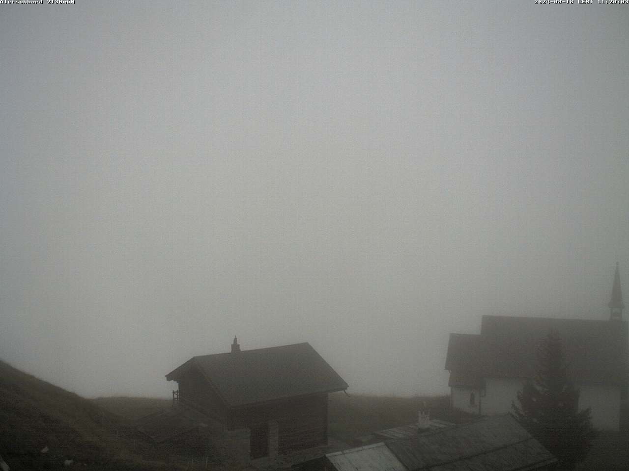 18.08.2024 12:02