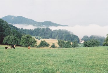 Hofladen Chirsgartehof - 1
