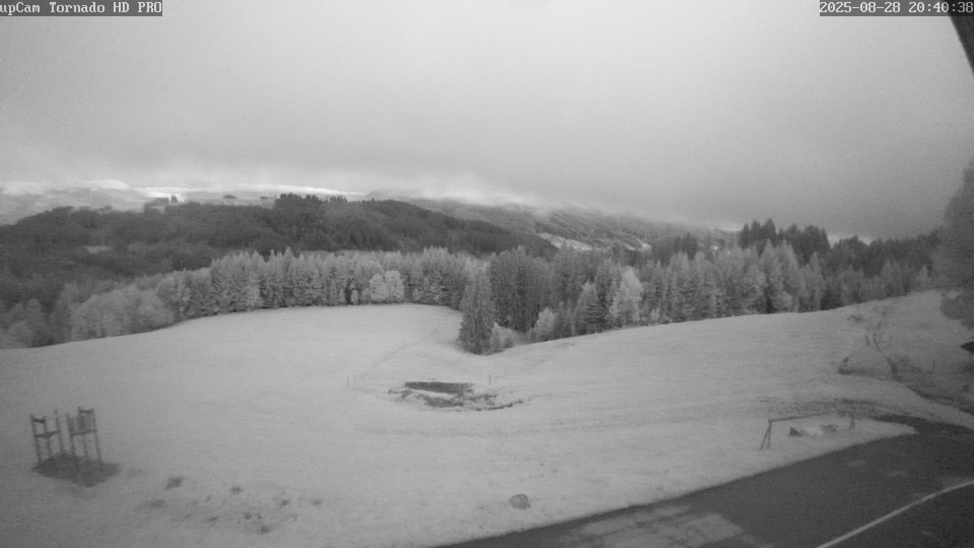 6h ago - 20:40