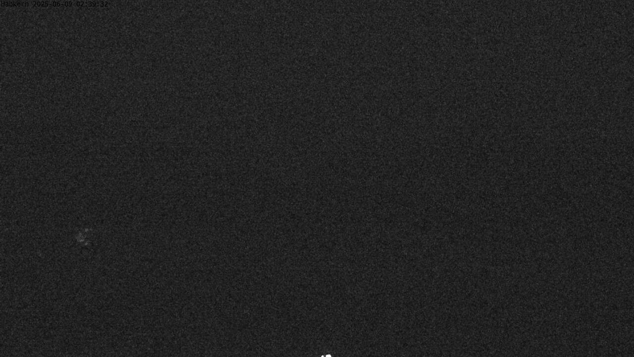 2h ago - 02:31