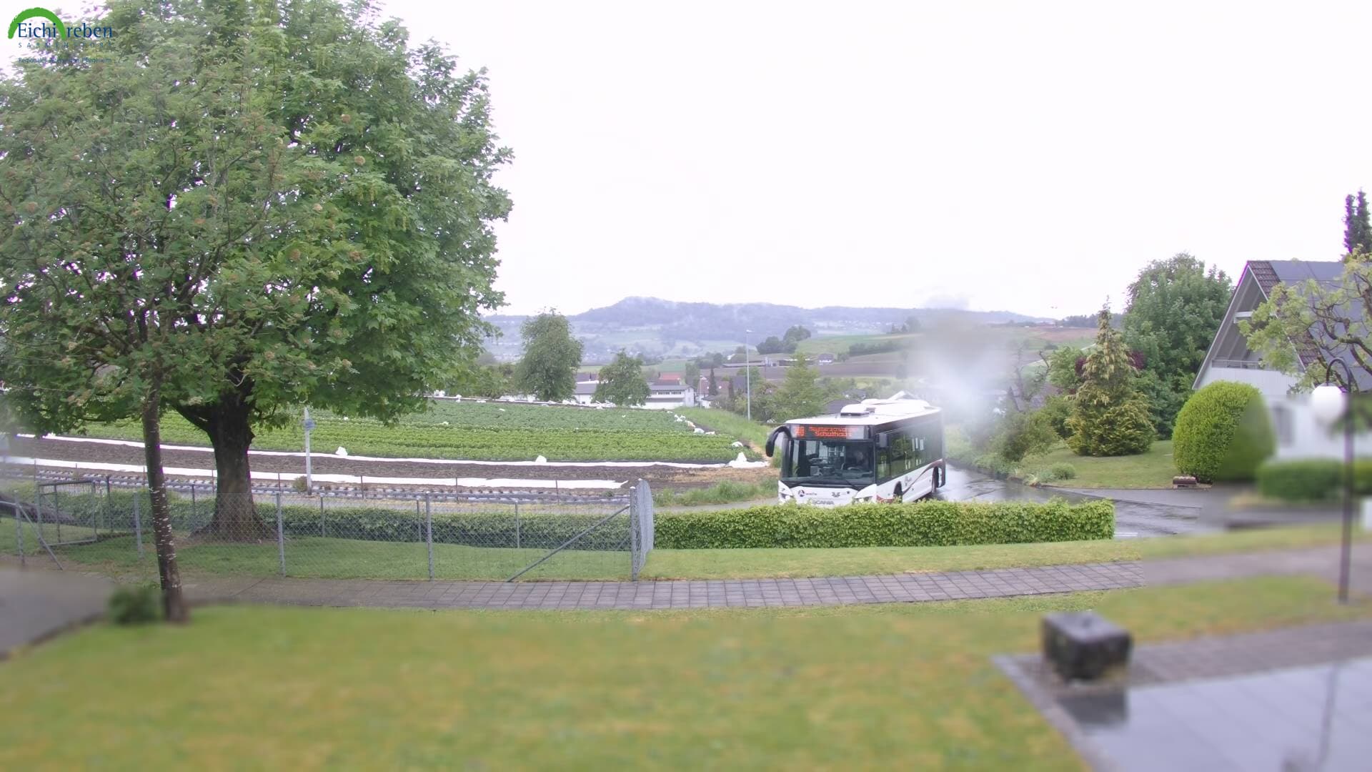 3h ago - 15:31