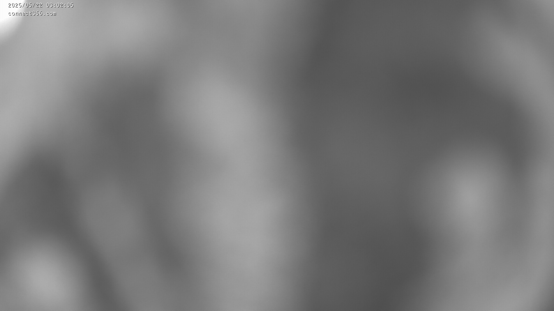 26h ago - 03:02