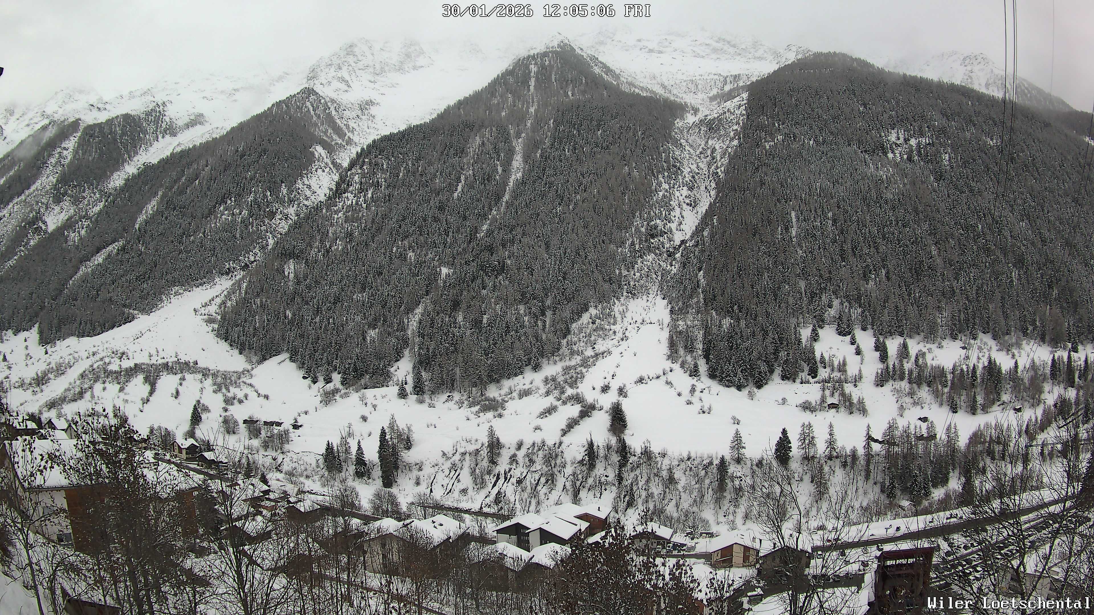 30.01.2026 12:05