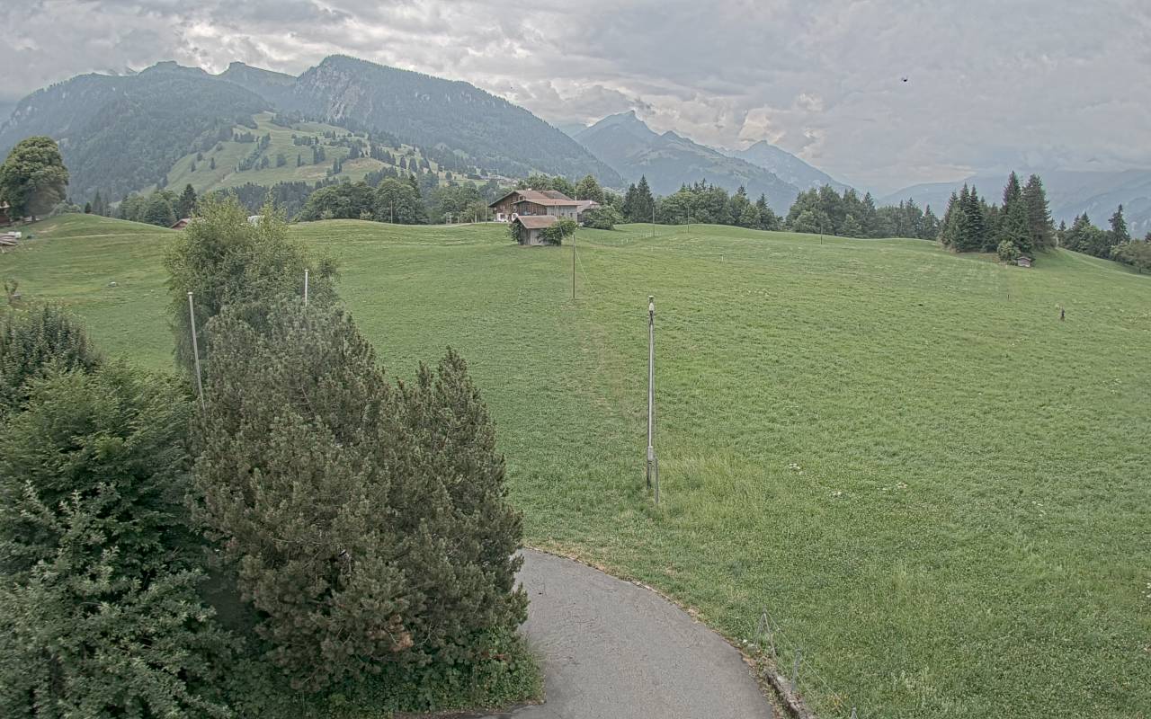 26.06.2025 12:25