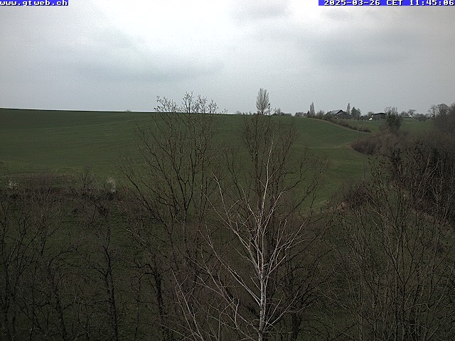 26.03.2025 12:12