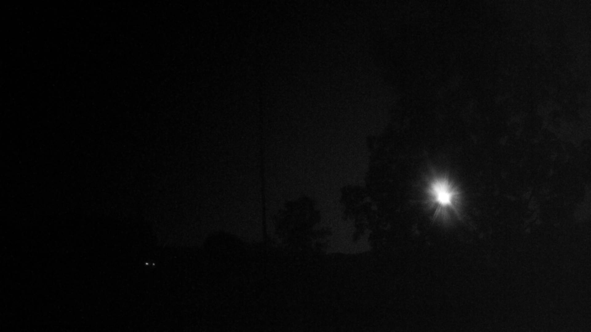 36h ago - 01:00