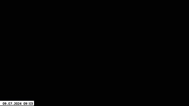 09.09.2024 01:31