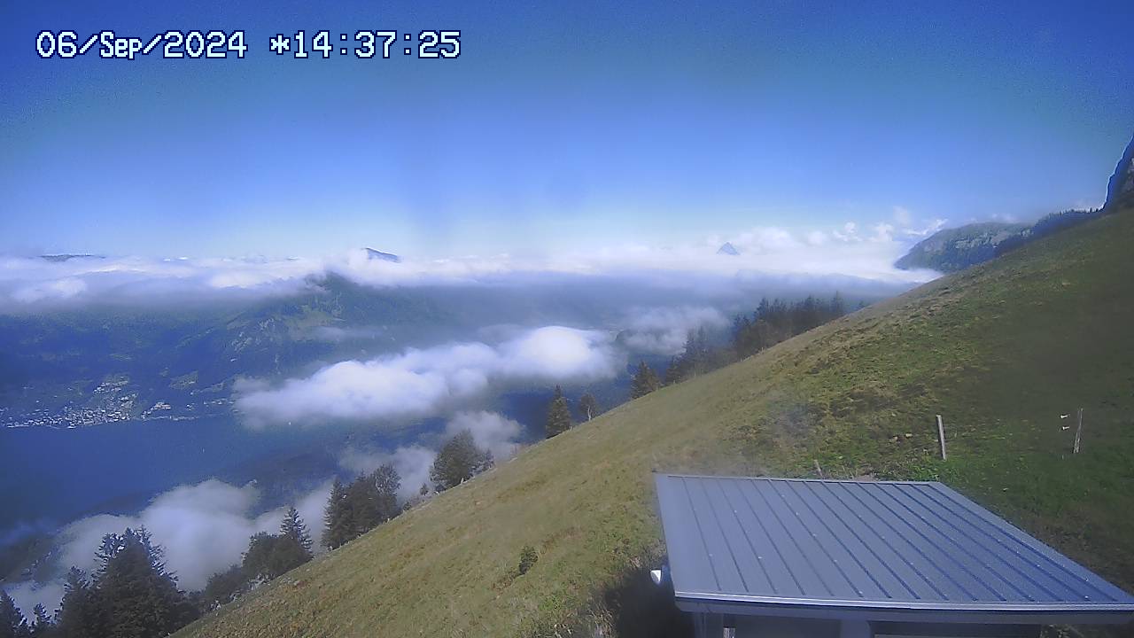 06.09.2024 14:31