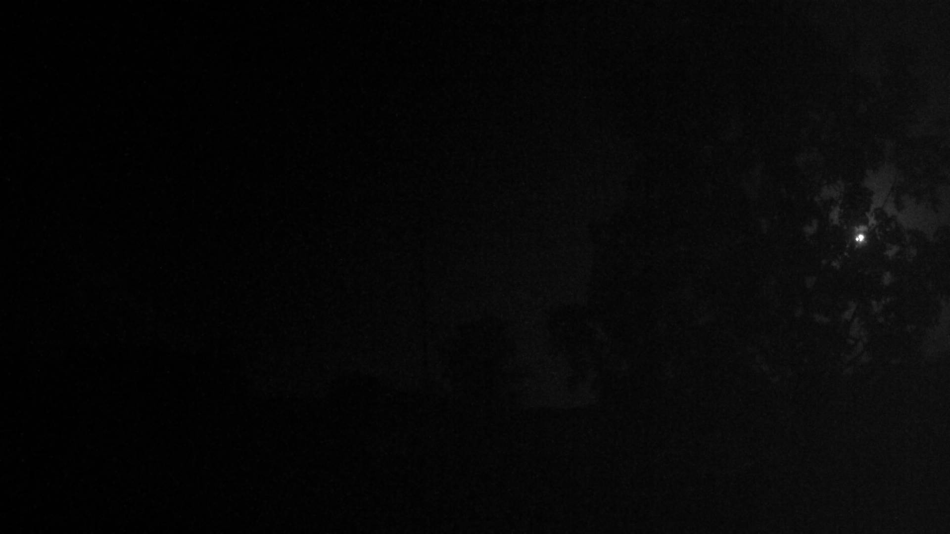3h ago - 04:00