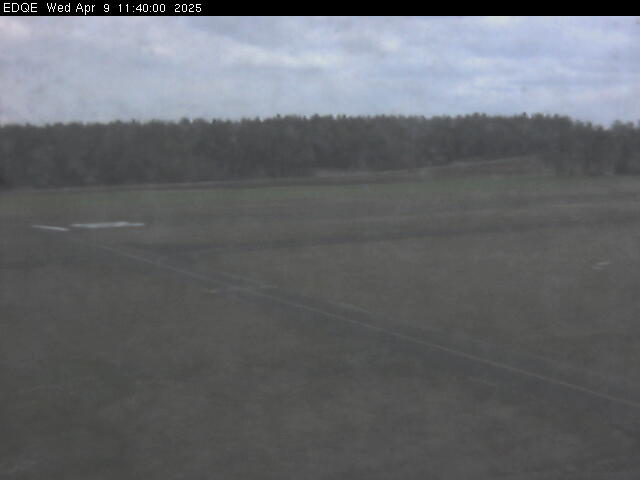 09.04.2025 12:10