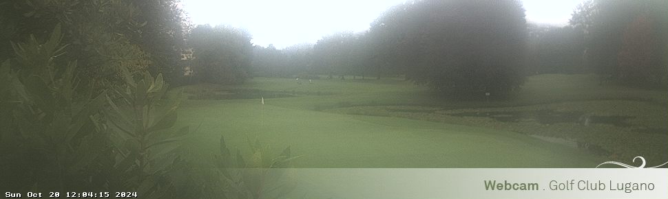 20.10.2024 12:04