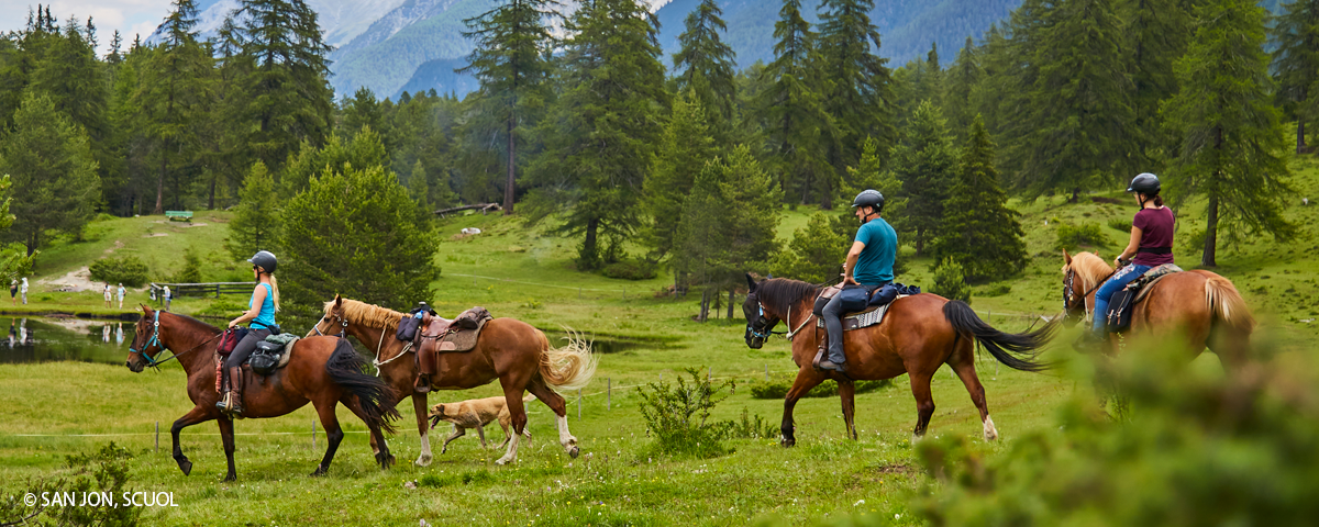 Reitferien sind ein einzigartiges Erlebnis für grosse und kleine Pferdefreunde.