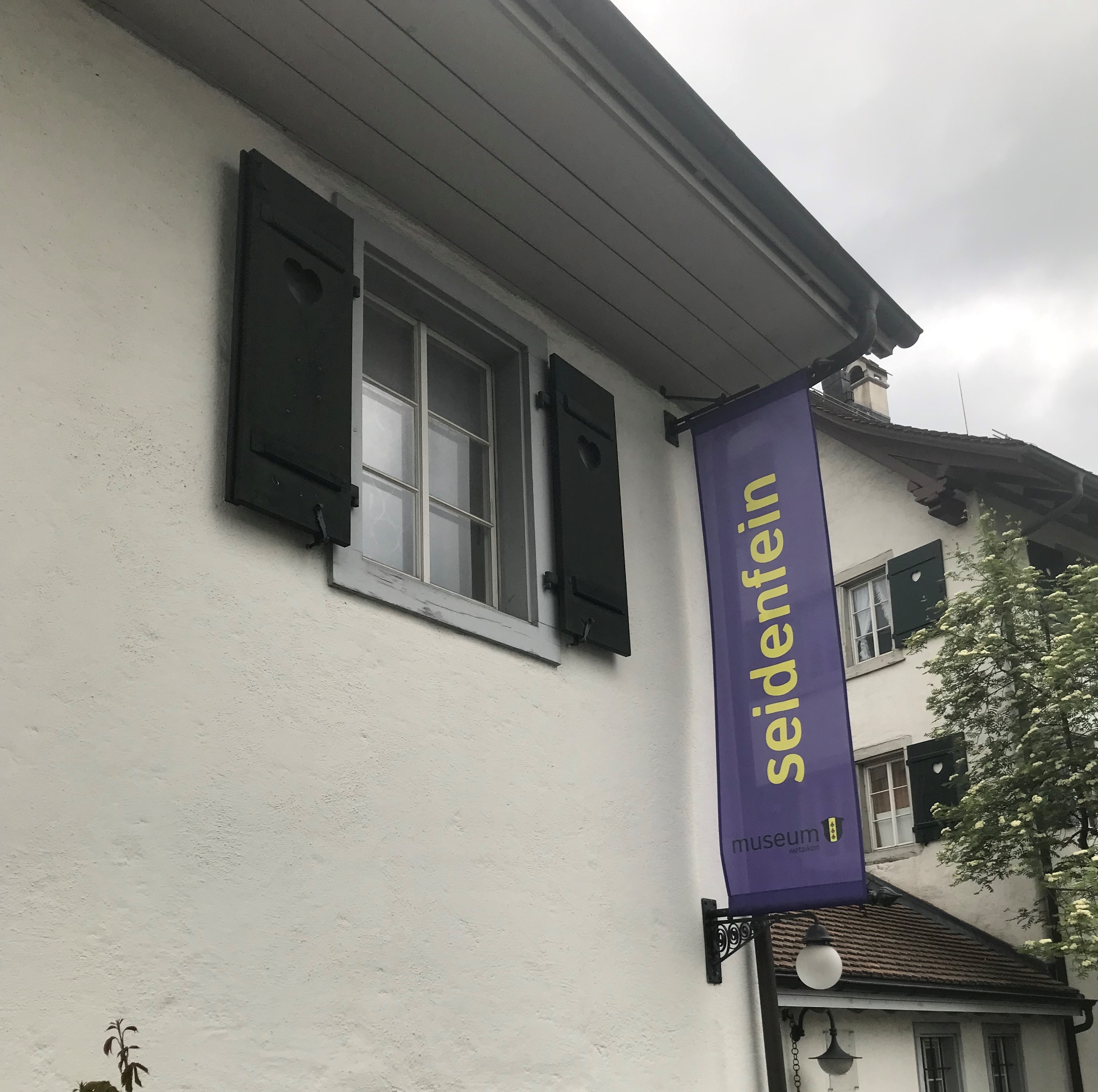 Seidenfein Seidenfein