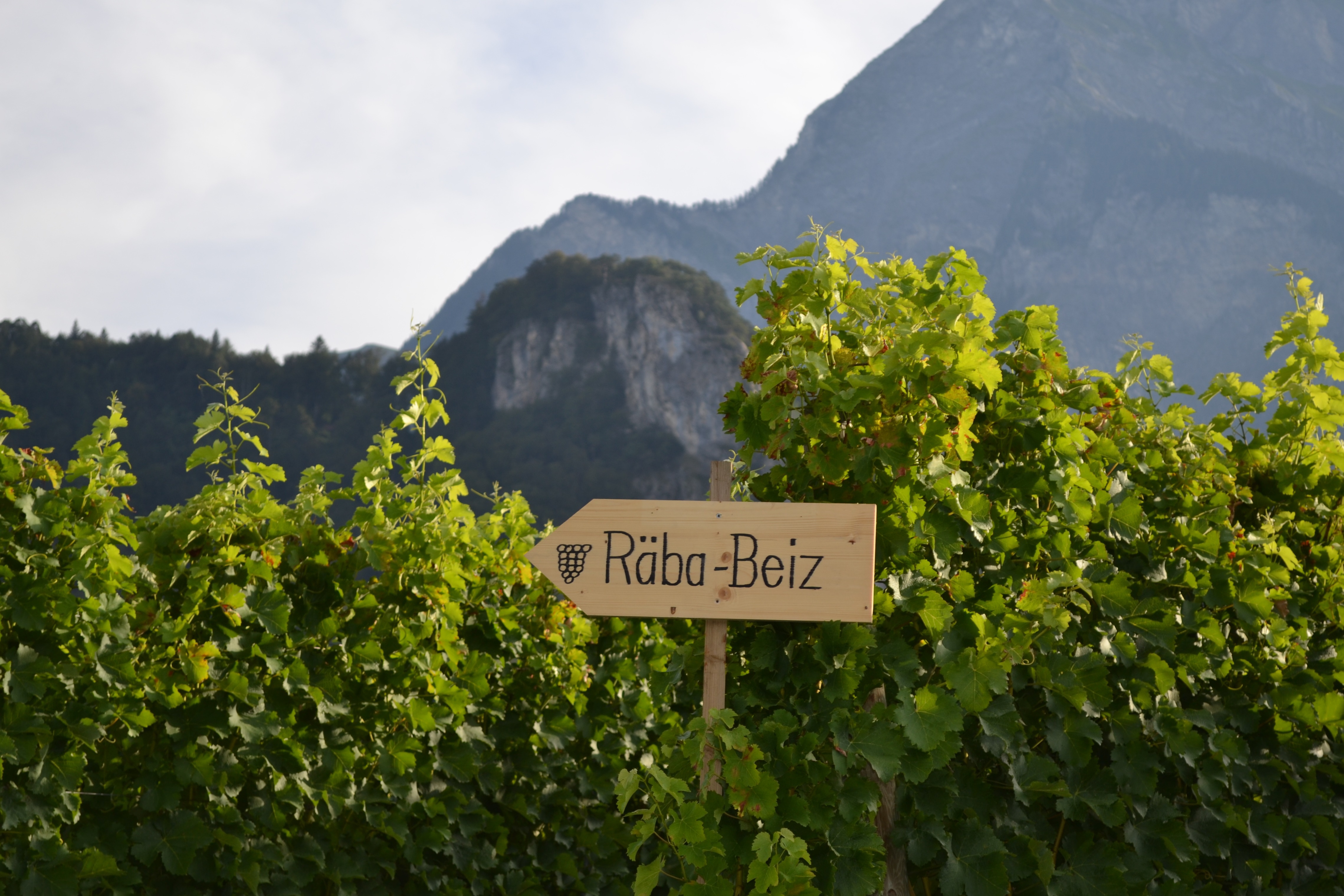 "Räba-Beiz" in den Fläscher Reben
