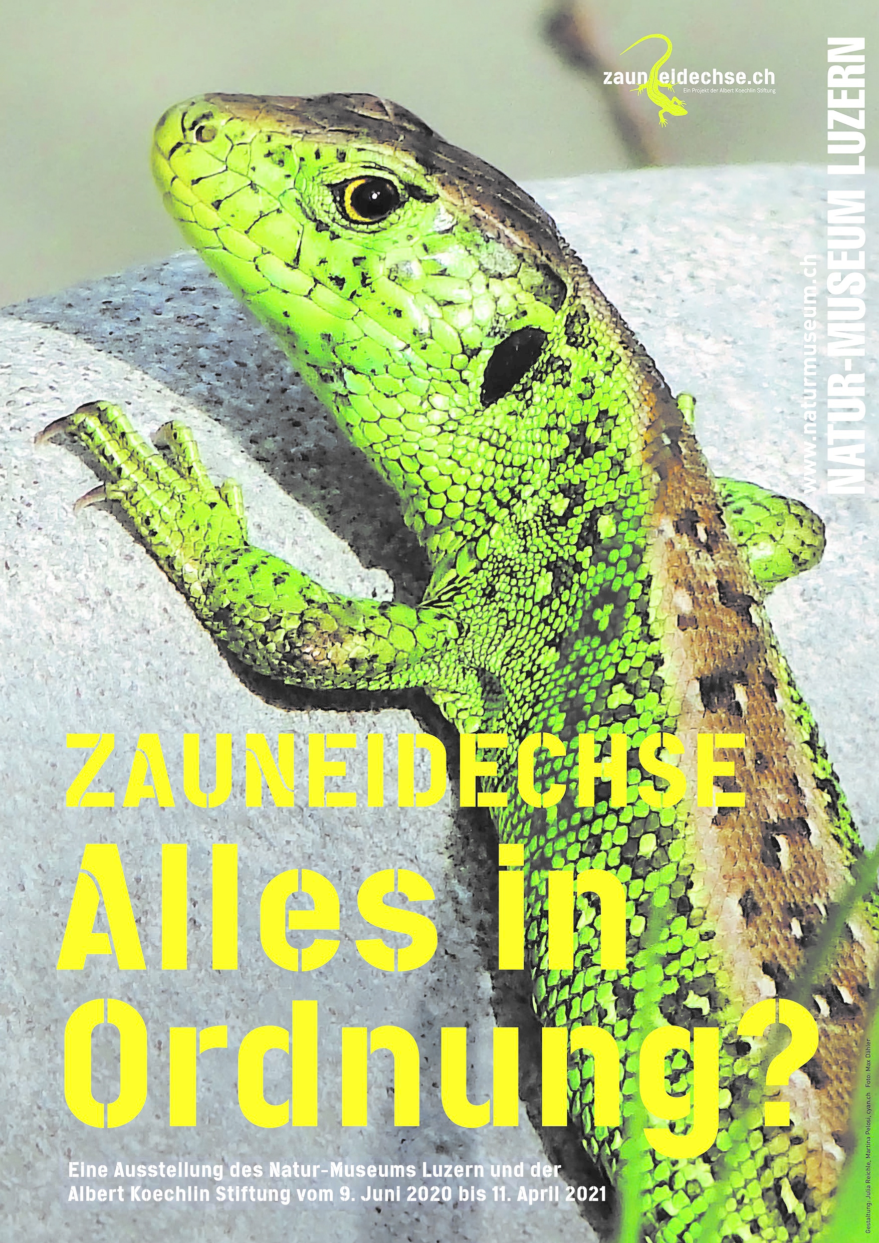 Lottozahlen 1.1 2021 Lottozahlen 1.1 2021