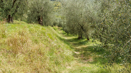 Siizilien – Aromen und Klänge der Heimat - 1