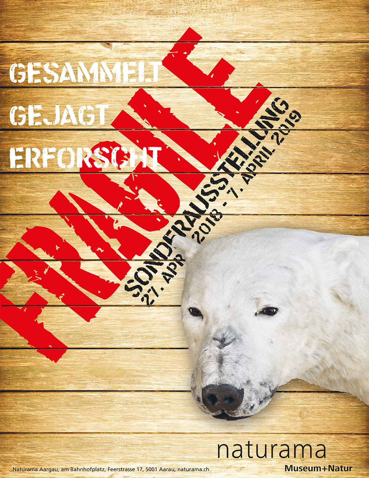Sonderausstellung - FRAGILE - gesammelt, gejagt, erforscht Sonderausstellung - FRAGILE - gesammelt, gejagt, erforscht