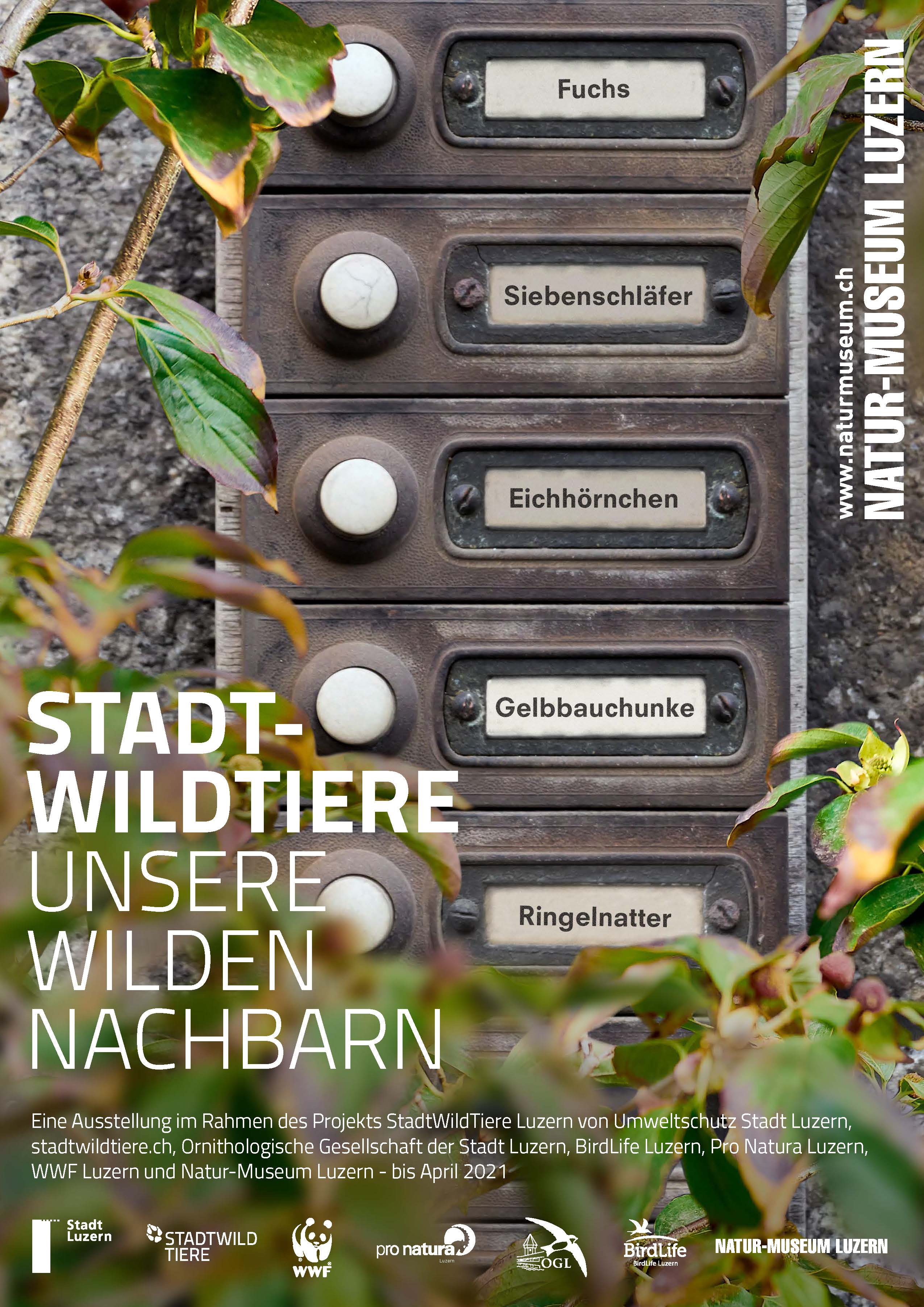 Stadtwildtiere - unsere wilden Nachbarn Stadtwildtiere - unsere wilden Nachbarn