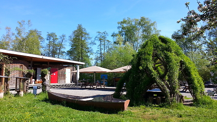 Naturstation Silberweide Frühling