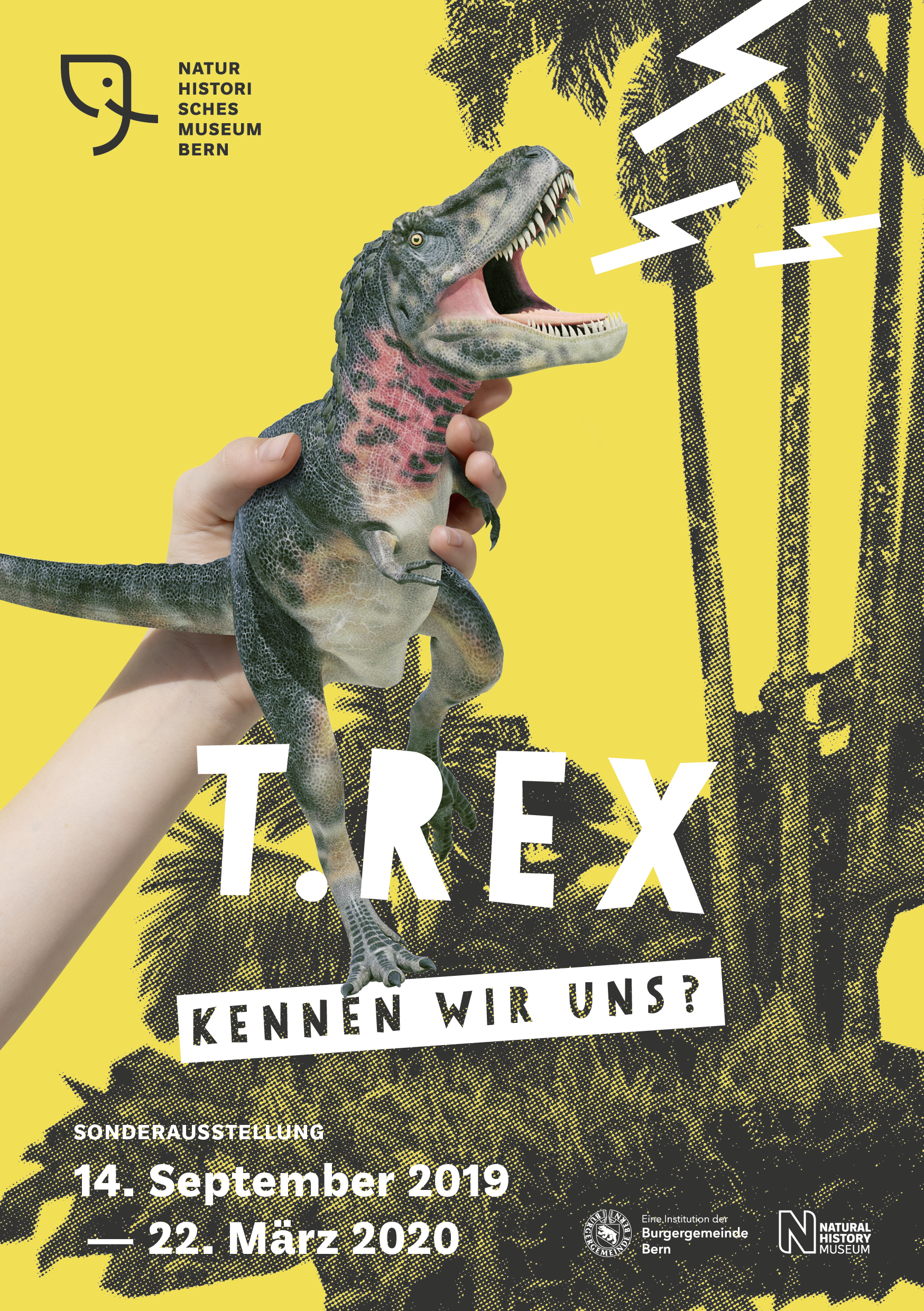T. rex - Kennen wir uns? T. rex - Kennen wir uns?